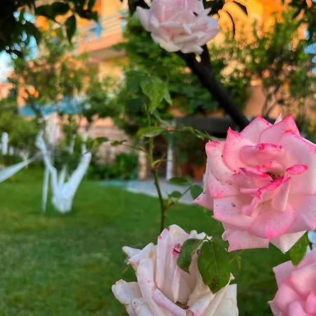 Laura * Εξαμίλιο